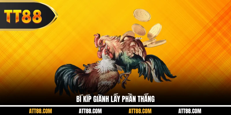 Bí kíp giành lấy phần thắng