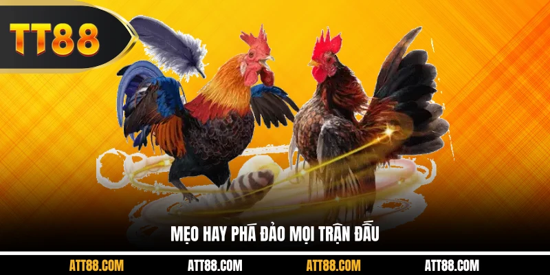 Mẹo hay phá đảo mọi trận đấu